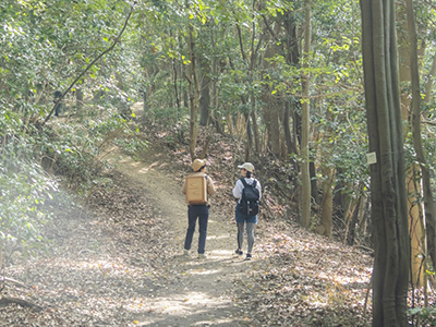 【2026年2月】＜日帰りTRIP＞広島駅から徒歩約10分で行けるパワースポット<br>「二葉山」からの景色と抹茶を楽しむAsageshikiガイドツアー