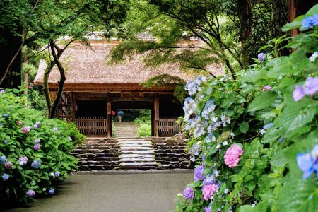 【2026年4月西の日】旧毛利家本邸で味わうアフタヌーンティーと東大寺別院阿弥陀寺あじさいまつり　日帰り