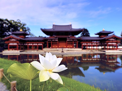 【2026年5月西の日】世界遺産 平等院 早朝優先入場 日帰り