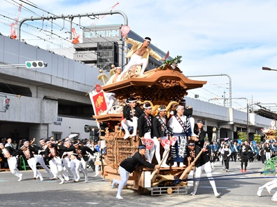 【2026年8月西の日】泉州・岸和田の町が熱狂する大迫力のやりまわし<br>だんじりの背中を追う!泉州岸和田だんじり祭<十月祭礼> 日帰り