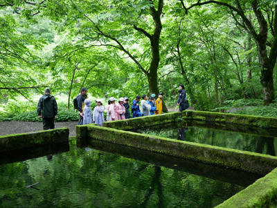 【2026年8月西の日】奥大山から島根県立美術館へ!水とアートに浸る1泊2日