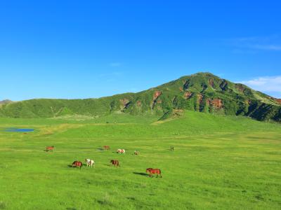 ≪tabiwaチケット 九州3県めぐり旅キャンペーン≫<br>熊本県・佐賀県・長崎県(2026年8月1日利用~)