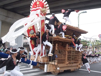 【2026年8月西の日】泉州・岸和田の町が熱狂する大迫力のやりまわし<br>だんじりの背中を追う!泉州岸和田だんじり祭<十月祭礼> 日帰り