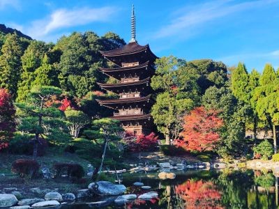 国宝・瑠璃光寺五重塔 秘仏を御開帳 静寂の特別拝観