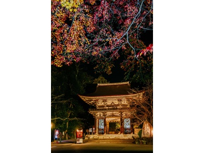 【2026年9月西の日】幻想的な秋の夜長の境内を僧侶の案内で拝観<br>ライトアップされた紅葉彩る「三井寺」夜間貸切拝観 日帰り