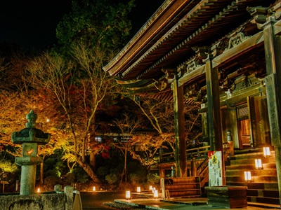 【2026年9月西の日】幻想的な秋の夜長の境内を僧侶の案内で拝観<br>ライトアップされた紅葉彩る「三井寺」夜間貸切拝観 日帰り