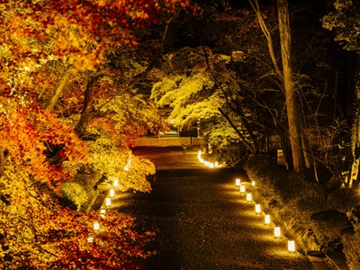 【2026年9月西の日】幻想的な秋の夜長の境内を僧侶の案内で拝観<br>ライトアップされた紅葉彩る「三井寺」夜間貸切拝観 日帰り