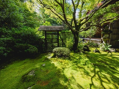 【2026年9月西の日】＜各日12名限定・第２回 京都駅ビル芸術祭 特別ツアー＞<br>京都・花園に佇む大本山妙心寺の塔頭寺院のひとつ<br>禅寺「桂春院」で閉門後特別拝観と茶室特別公開　日帰り
