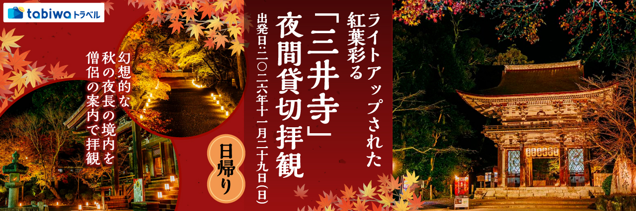 【2026年9月西の日】幻想的な秋の夜長の境内を僧侶の案内で拝観ライトアップされた紅葉彩る「三井寺」夜間貸切拝観　日帰り