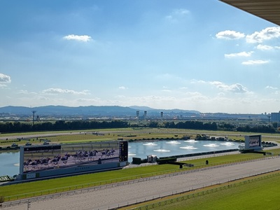 【2026年10月西の日】京都競馬場 貴賓室で優雅に楽しむ大人の競馬見学　日帰り