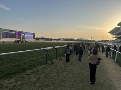 【2026年10月西の日】京都競馬場 貴賓室で優雅に楽しむ大人の競馬見学　日帰り