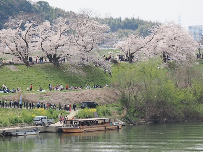 一本松海運　さくらであいクルーズ