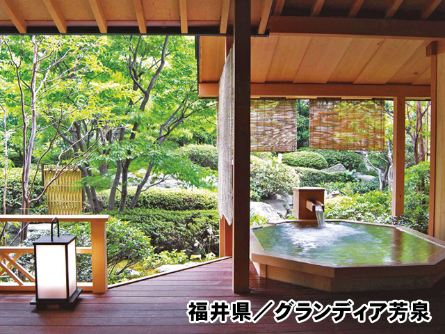グランディア芳泉