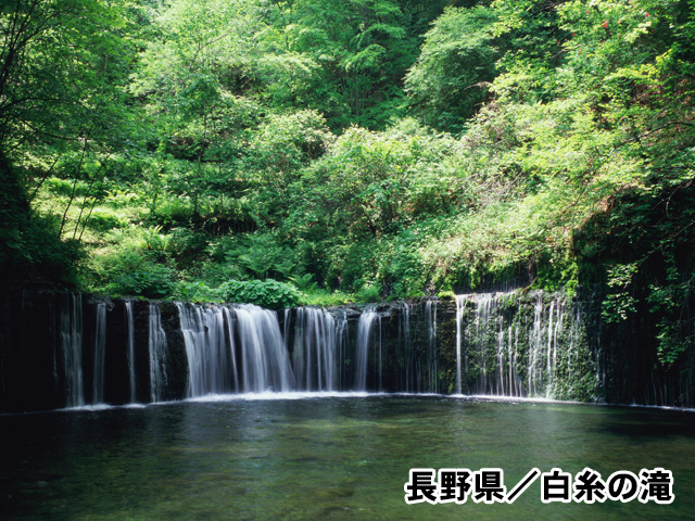 長野県/白糸の滝