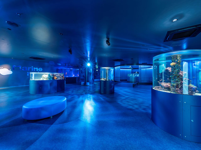 広島もとまち水族館
