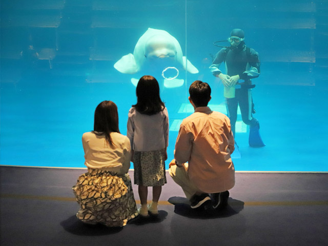 島根県立しまね海洋館アクアス