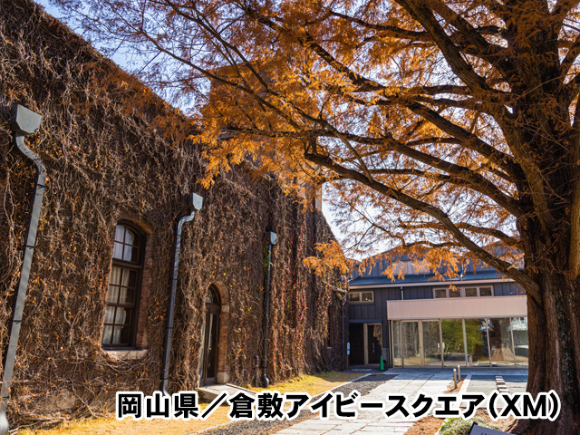 岡山県／倉敷アイビースクエア