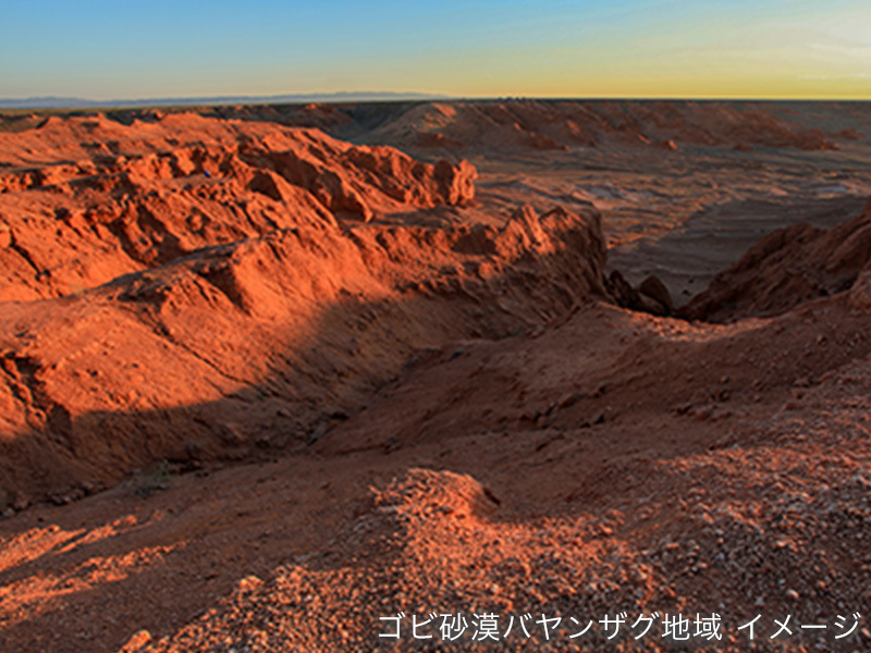ゴビ砂漠バヤンザグ地域 イメージ