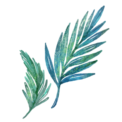 グアム植物