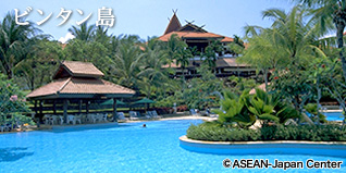 ビンタン島