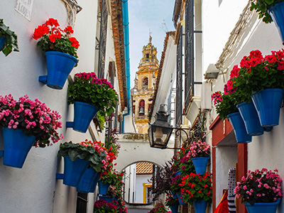 アンダルシアを満喫する充実のスペイン 8日のイメージ画像