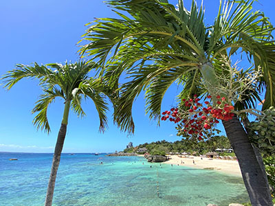 セブ島(フィリピン)