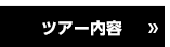 ツアー内容
