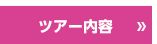ツアー内容