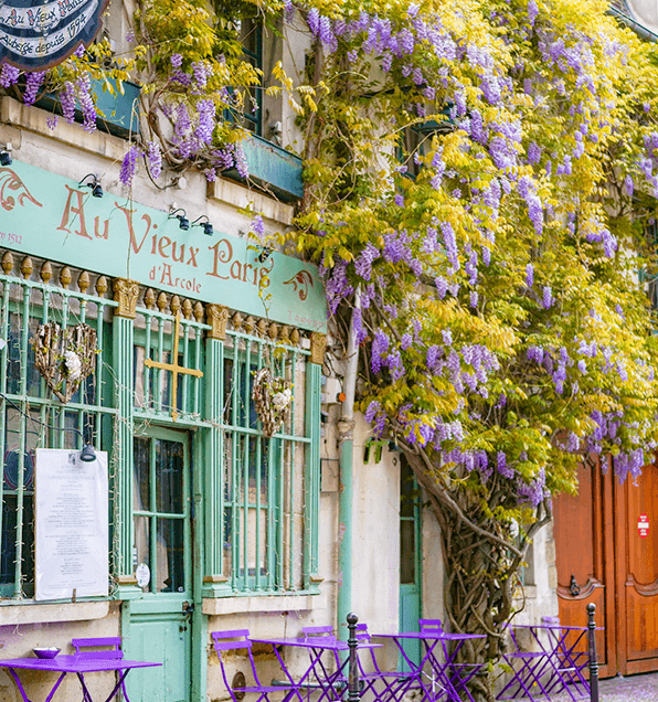 エリア画像003左上