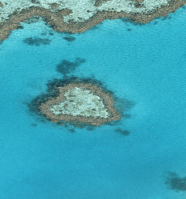 エリア画像004左上