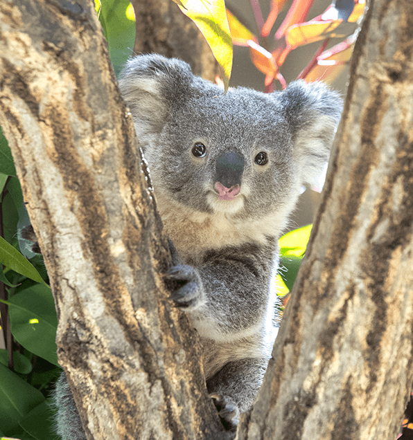 エリア画像004右下