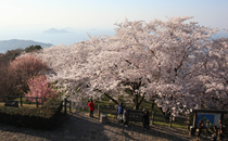 紫雲出山