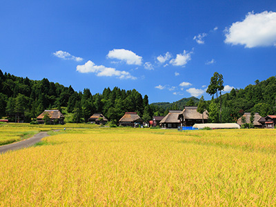 新潟県