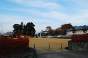 歌舞伎文化公園