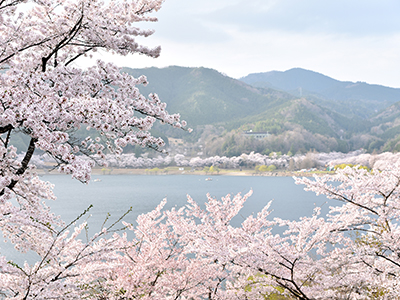 春のおすすめ観光地