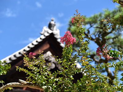 日光山 千手院 正楽寺