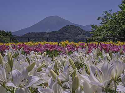 南部町・伯耆町・大山