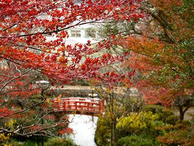 打吹公園