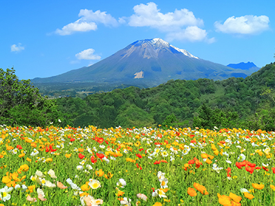 とっとり花回廊