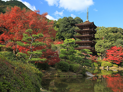 「NYタイムズ絶賛！紅葉の瑠璃光寺五重塔」