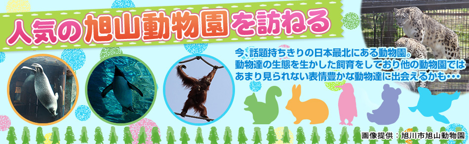 人気の旭山動物園を訪ねる