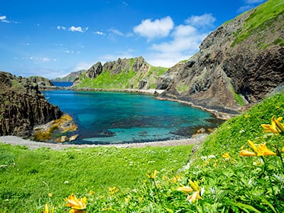 礼文島