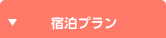宿泊プラン