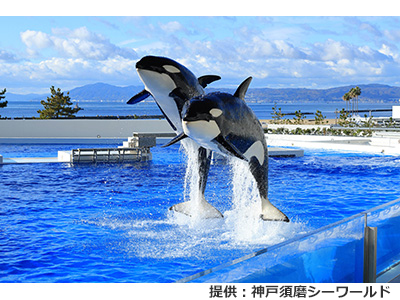 夏のおすすめ観光地