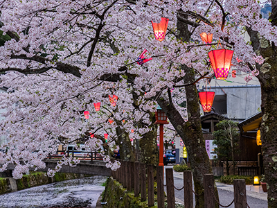 春のおすすめ観光地