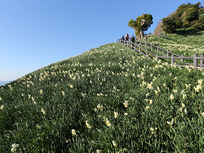 冬のおすすめ観光地