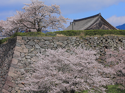 篠山城址