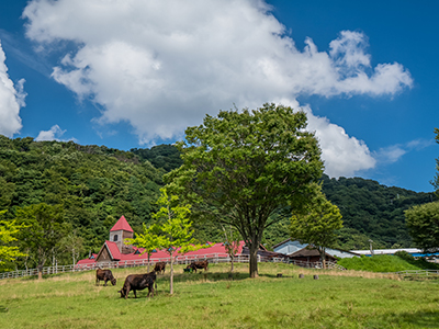 但馬高原植物園