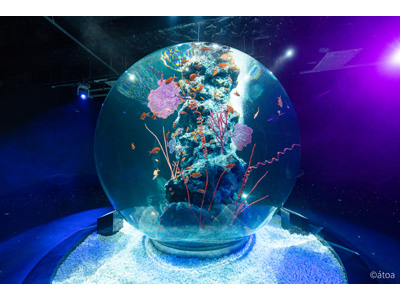ＡＱＵＡＲＩＵＭ×ＡＲＴａｔｏａ