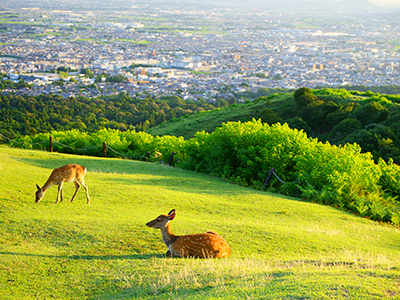 奈良県